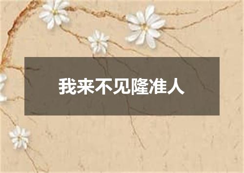 我来不见隆准人