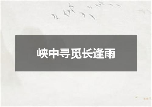 峡中寻觅长逢雨