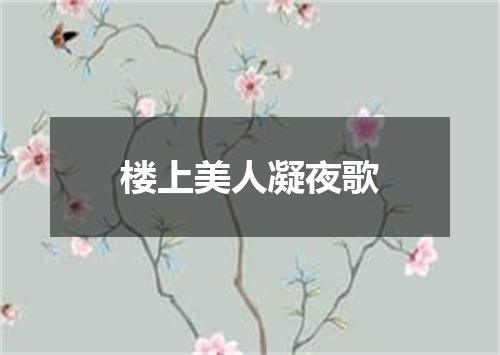 楼上美人凝夜歌