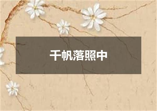 千帆落照中