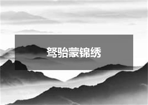 驽骀蒙锦绣