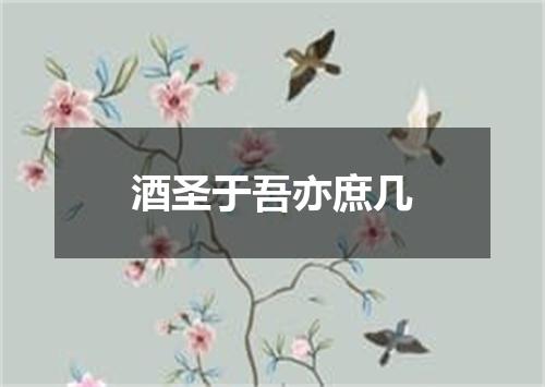 酒圣于吾亦庶几