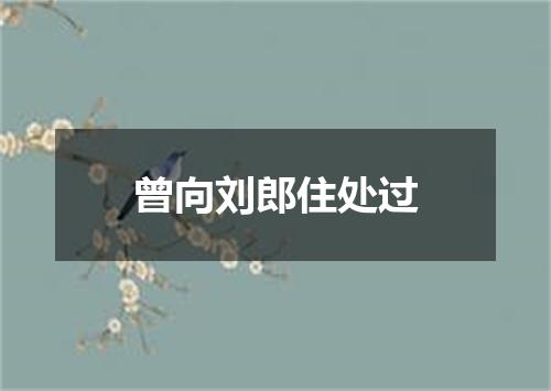 曾向刘郎住处过