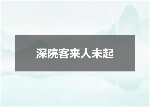 深院客来人未起