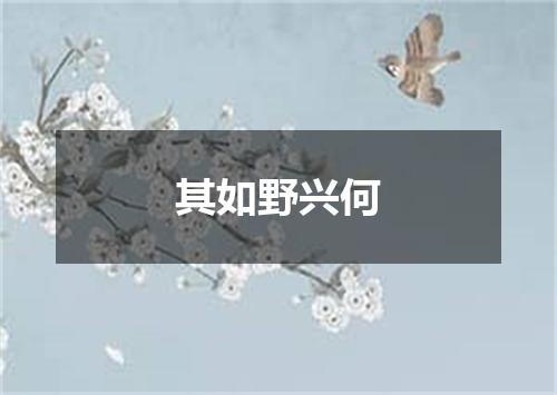 其如野兴何