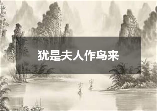 犹是夫人作鸟来