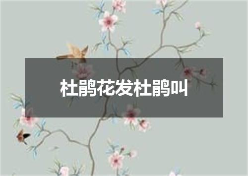 杜鹃花发杜鹃叫