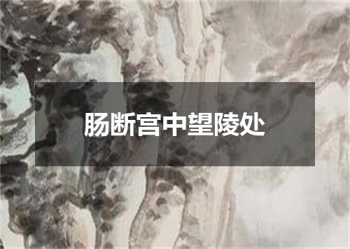 肠断宫中望陵处
