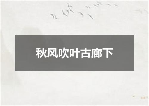 秋风吹叶古廊下