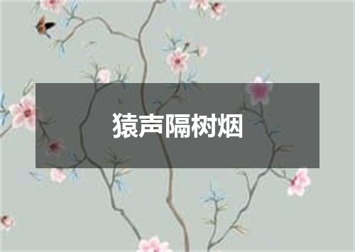 猿声隔树烟