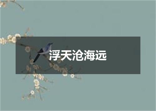 浮天沧海远
