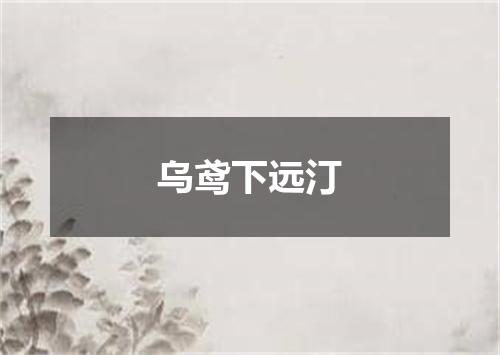 乌鸢下远汀