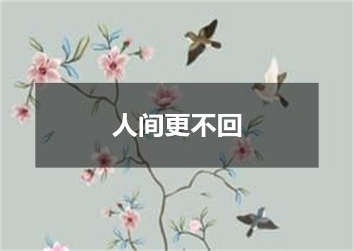 人间更不回