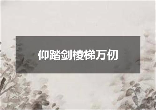仰踏剑棱梯万仞