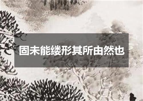 固未能缕形其所由然也