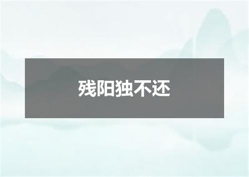 残阳独不还