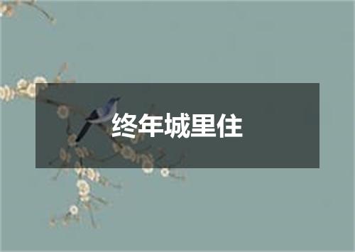 终年城里住