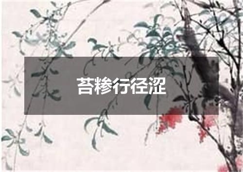 苔糁行径涩