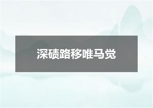 深碛路移唯马觉