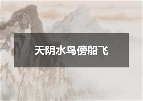 天阴水鸟傍船飞