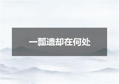 一瓢遗却在何处