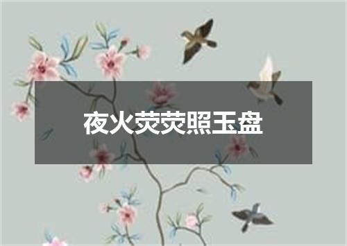 夜火荧荧照玉盘
