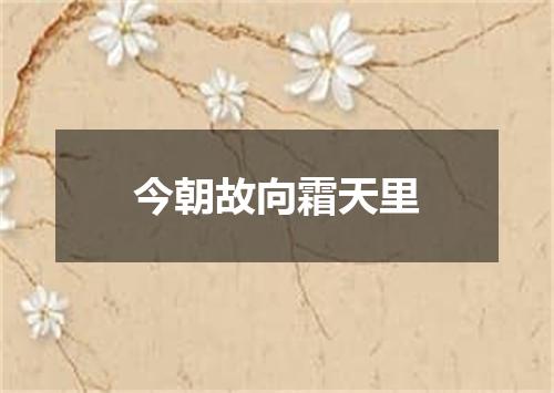 今朝故向霜天里