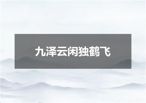 九泽云闲独鹤飞