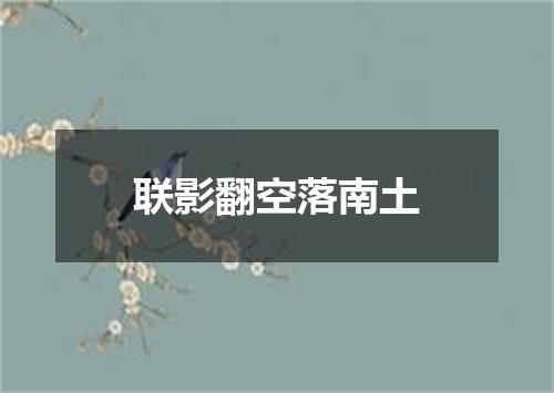 联影翻空落南土