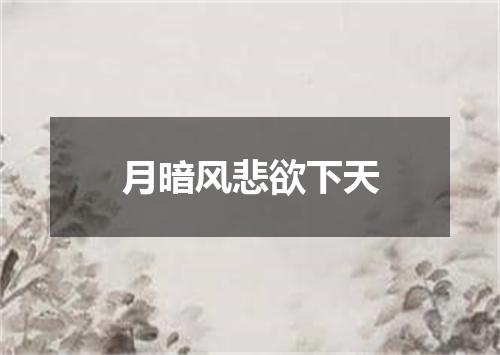 月暗风悲欲下天