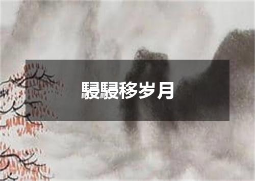 駸駸移岁月