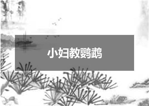 小妇教鹦鹉