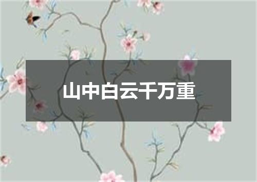 山中白云千万重