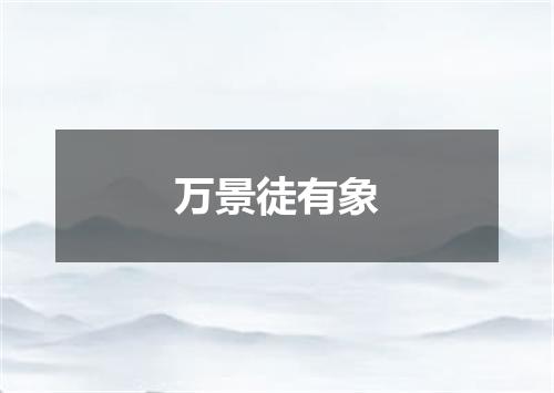 万景徒有象