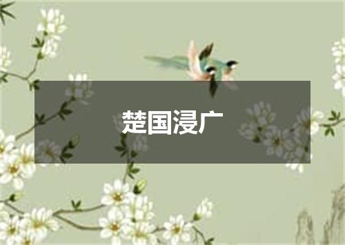 楚国浸广