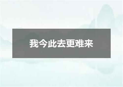 我今此去更难来