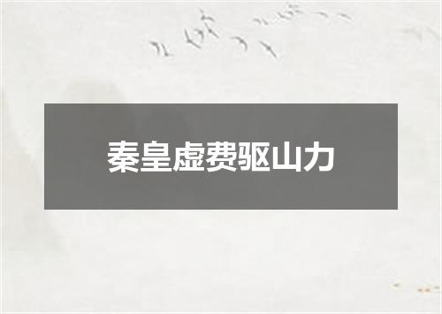 秦皇虚费驱山力