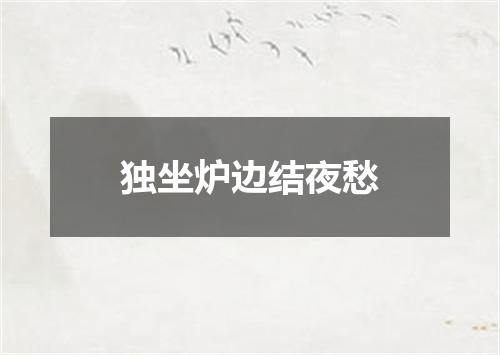 独坐炉边结夜愁
