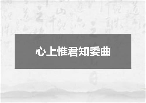 心上惟君知委曲