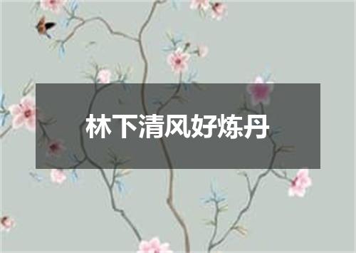 林下清风好炼丹