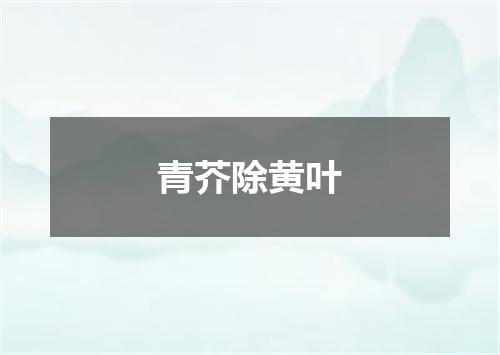 青芥除黄叶