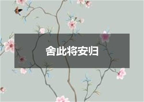 舍此将安归