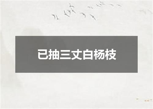 已抽三丈白杨枝