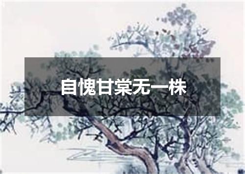自愧甘棠无一株