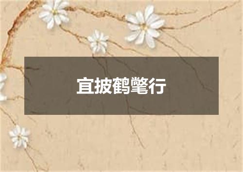 宜披鹤氅行