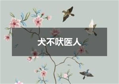 犬不吠医人