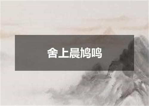 舍上晨鸠鸣