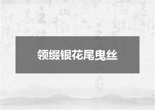领缀银花尾曳丝