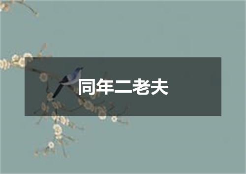 同年二老夫