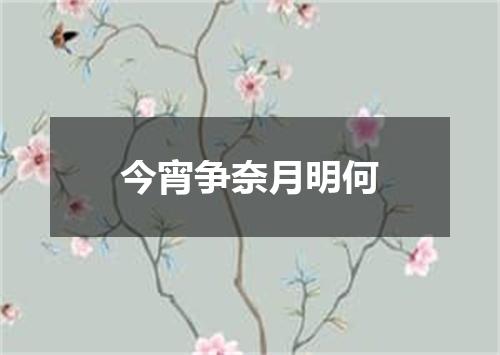今宵争奈月明何